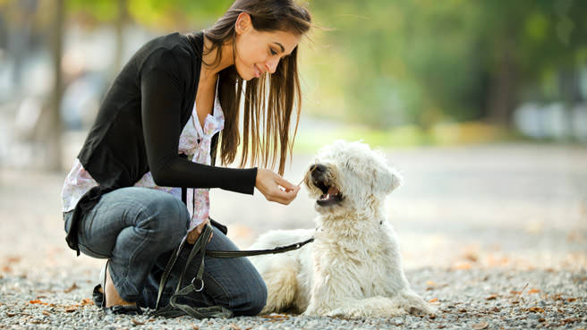 woman giving dog stick