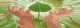 Tampabay Patientcare Services/ryb