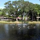 Woodlands Village