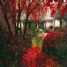 New Canaan Inn