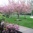 http://s.cdn-care.com/img/cms/web/leadGen/brand/photos/large/OrchardHillTrees.jpg?v=130516