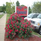 Rosemont Senior Living Centre