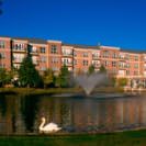 Signature Pointe on the Lake