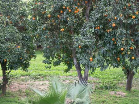 Photo gallery image - 3