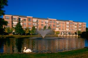 Signature Pointe On The Lake Logo